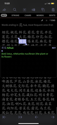 IMG_6489.PNG IMG_6489.PNG