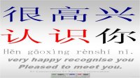 010108 Pleased to meet you. _ Hěn gāoxìng rèn.shí nǐ..jpg